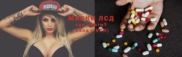 дживик Богородицк