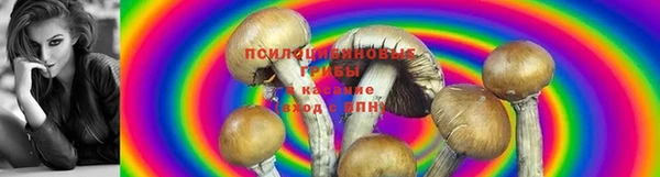 дживик Богородицк