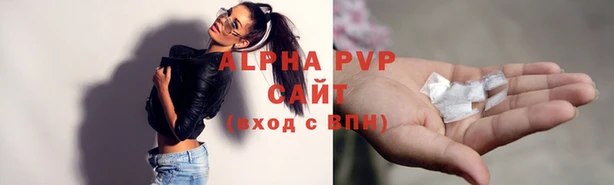 дживик Богородицк