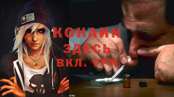 дживик Богородицк
