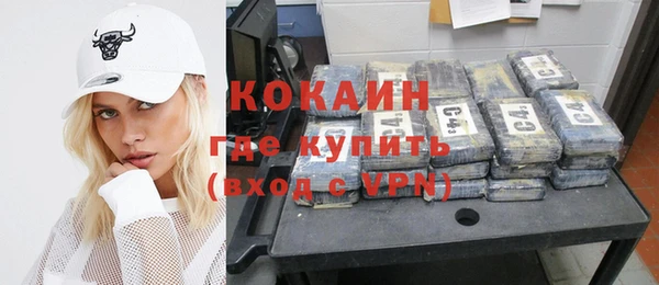 прущий лед Бикин